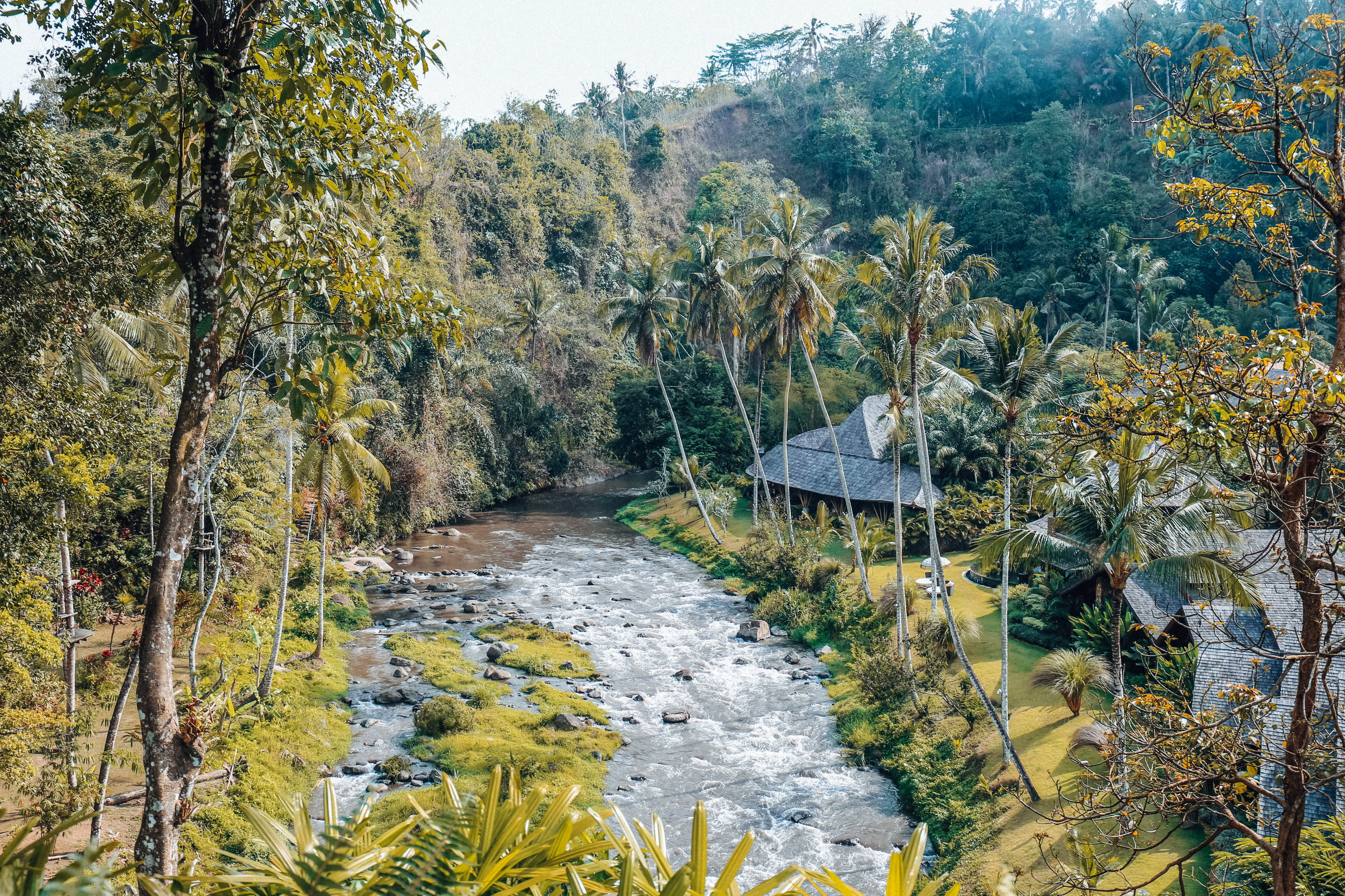 Complete Ubud  Travel Guide The Best Things to Do in Ubud  